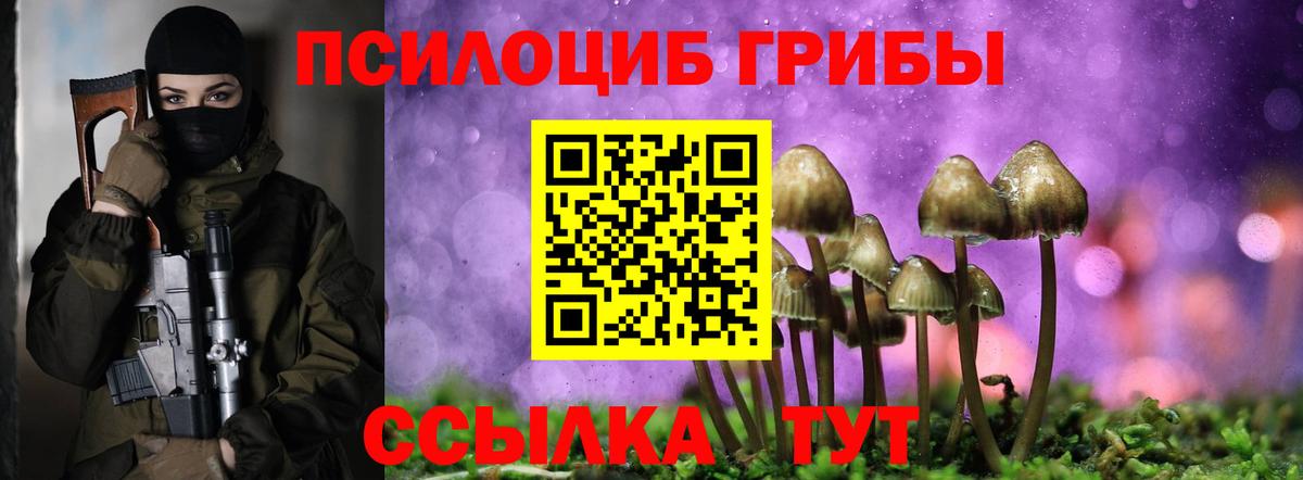 Псилоцибиновые грибы Psilocybe  Вход с VPN  Псилоцибиновые грибы Psilocybe  Нарткала 
